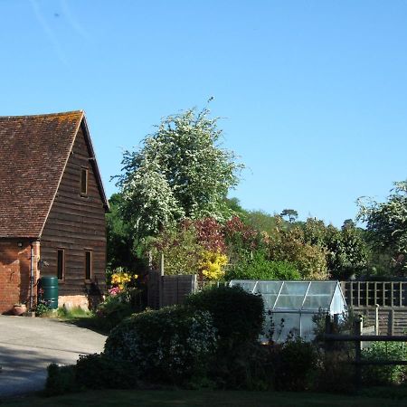 Snooky'S Barn At Brook Cottage Graffham Luaran gambar